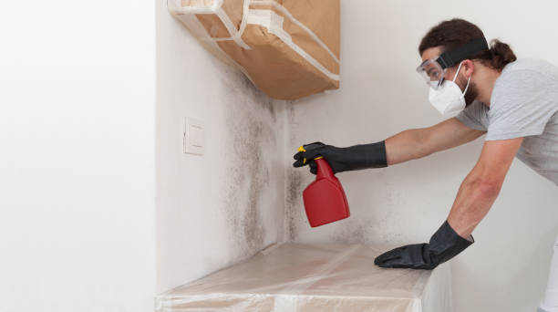 Professional Bathroom Mold Removal technician working in Circle Pines, MN