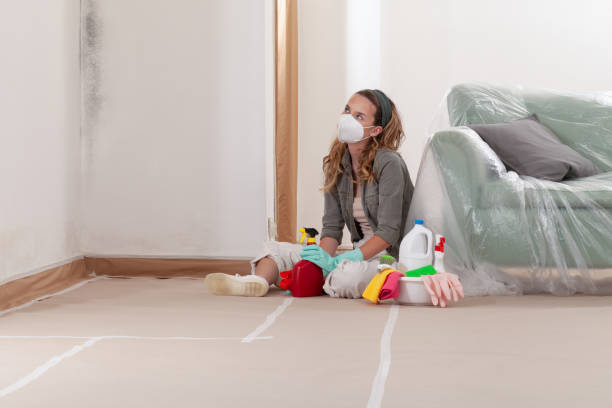 Trusted Basement Mold Remediation service in Circle Pines, MN - Cheap Mold Removal